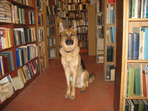Wendell Berry, canine of the bookstore